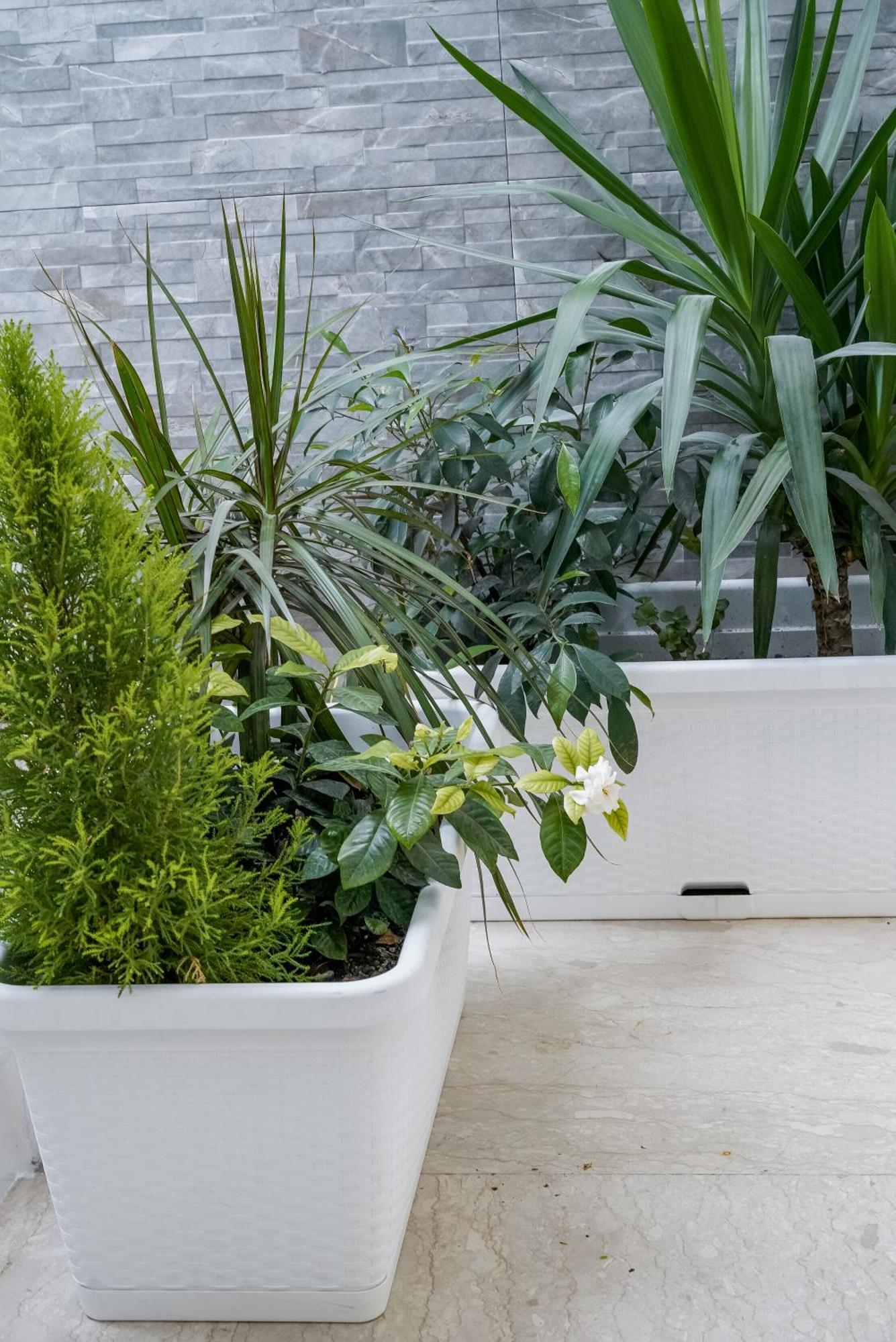 La Peonia B&B Ragusa Bagian luar foto